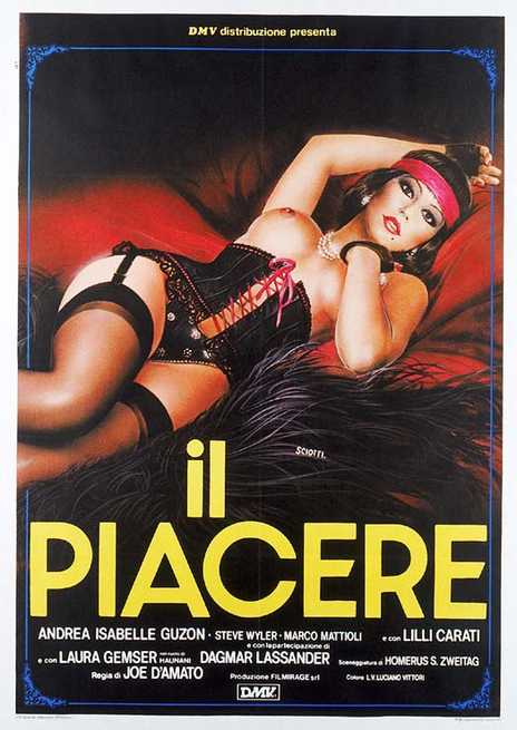 ilpiacere.jpg